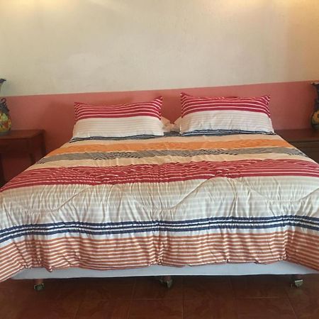 Olivos Habitacion Cuadruple 테키스키아판 외부 사진