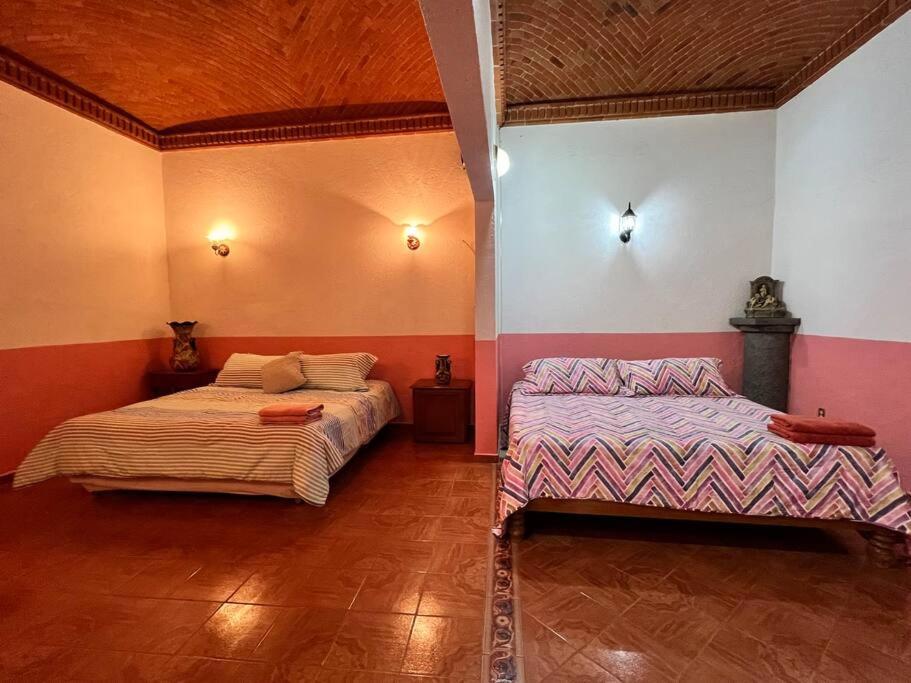 Olivos Habitacion Cuadruple 테키스키아판 외부 사진