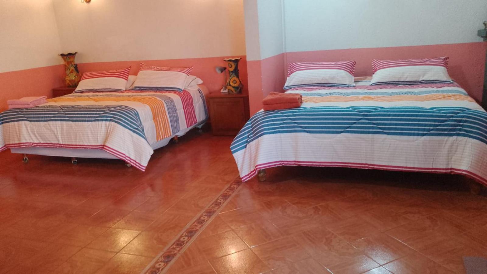 Olivos Habitacion Cuadruple 테키스키아판 외부 사진
