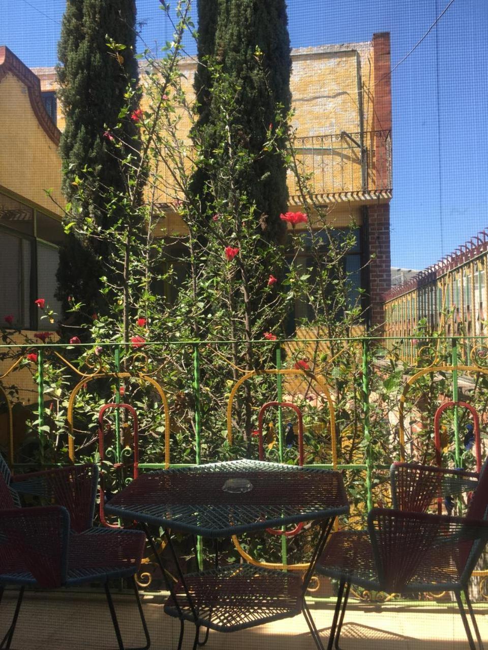 Olivos Habitacion Cuadruple 테키스키아판 외부 사진